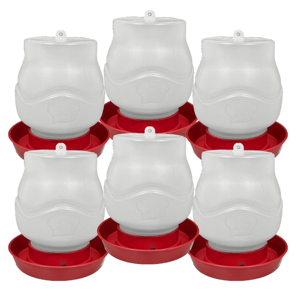 Bebedouro Automático Rosca 2 Litros Galinha e Aves