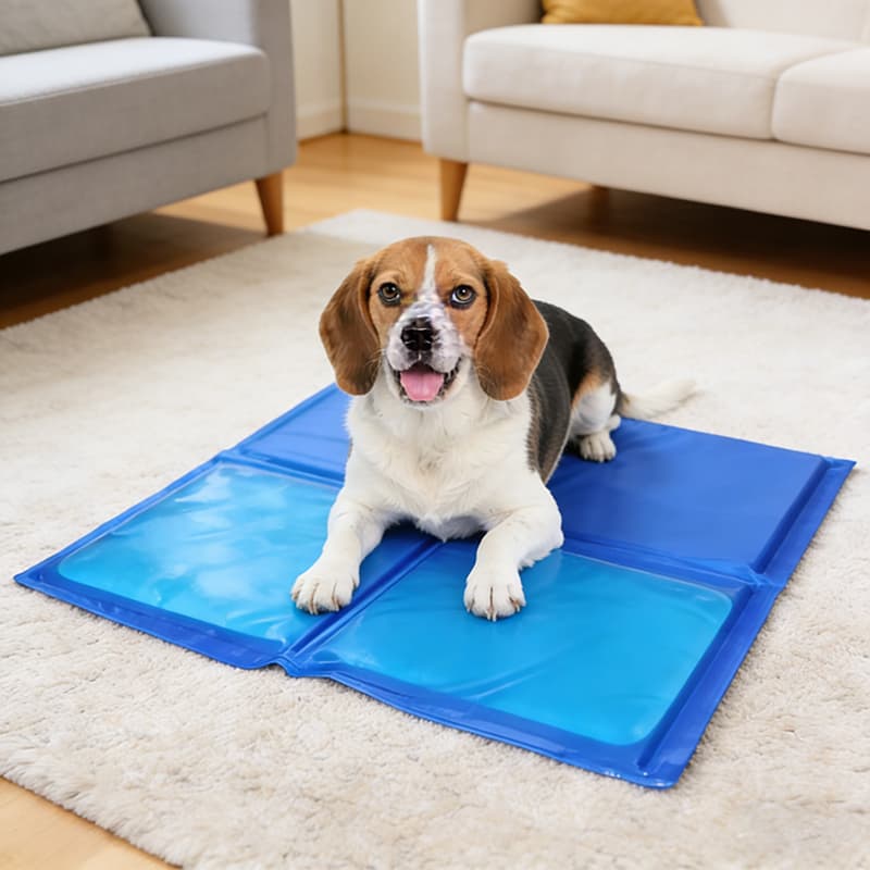 Tapete Refrescante Gelado Com Gel Para Cachorro Gato 30*40/40*50/50*65 Durável