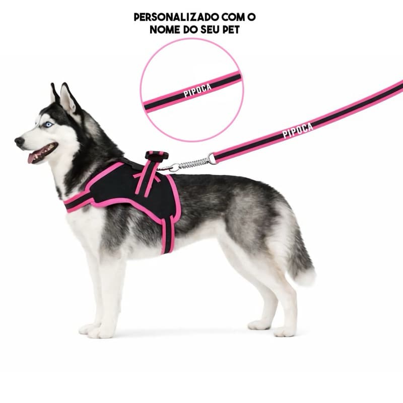 coleira e Guia para cachorro nome personalizado coleira peitoral conforto peiteira sistema amortecedor impacto regulagem