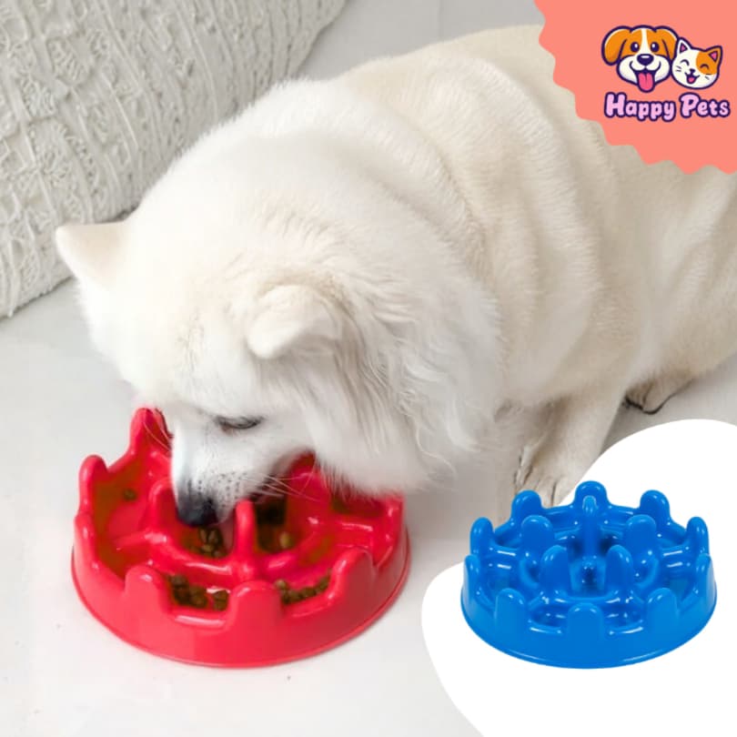 Comedouro Lento Mini Pet Fit Da Pet Games Para Cão Porte Pequeno Divertido Saudável Para Cachorro