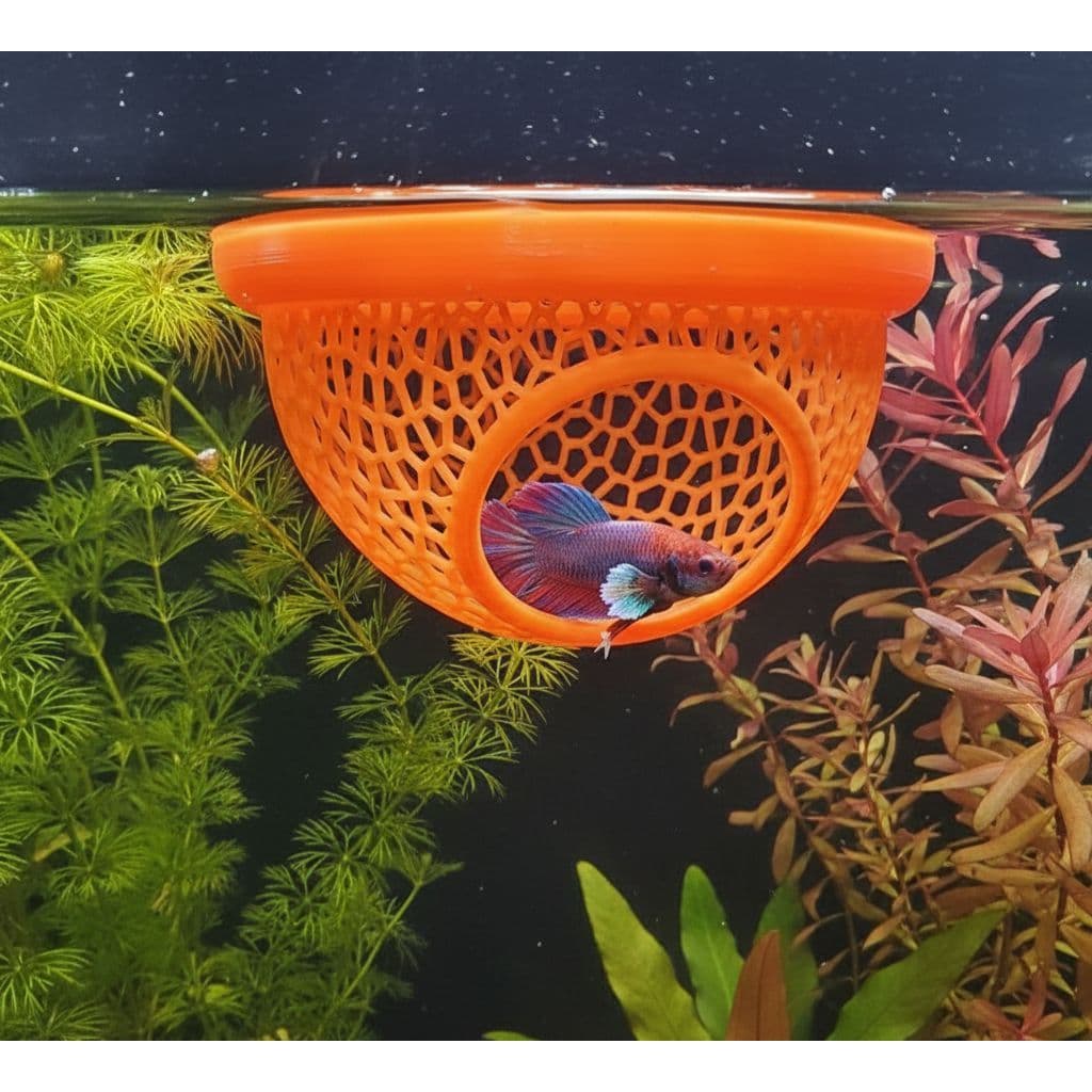 10 CAMA PEIXE BETA FLUTUANTE ATACADO LOJISTAS