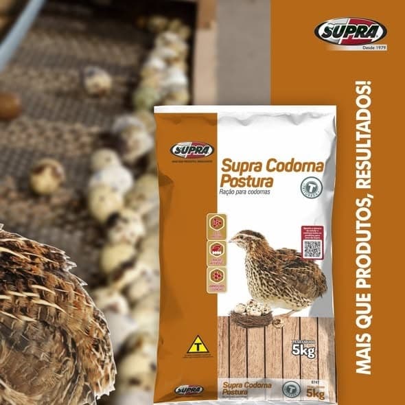 Ração Supra Codorna Alta Produtividade Crescimento Ovos 5kg