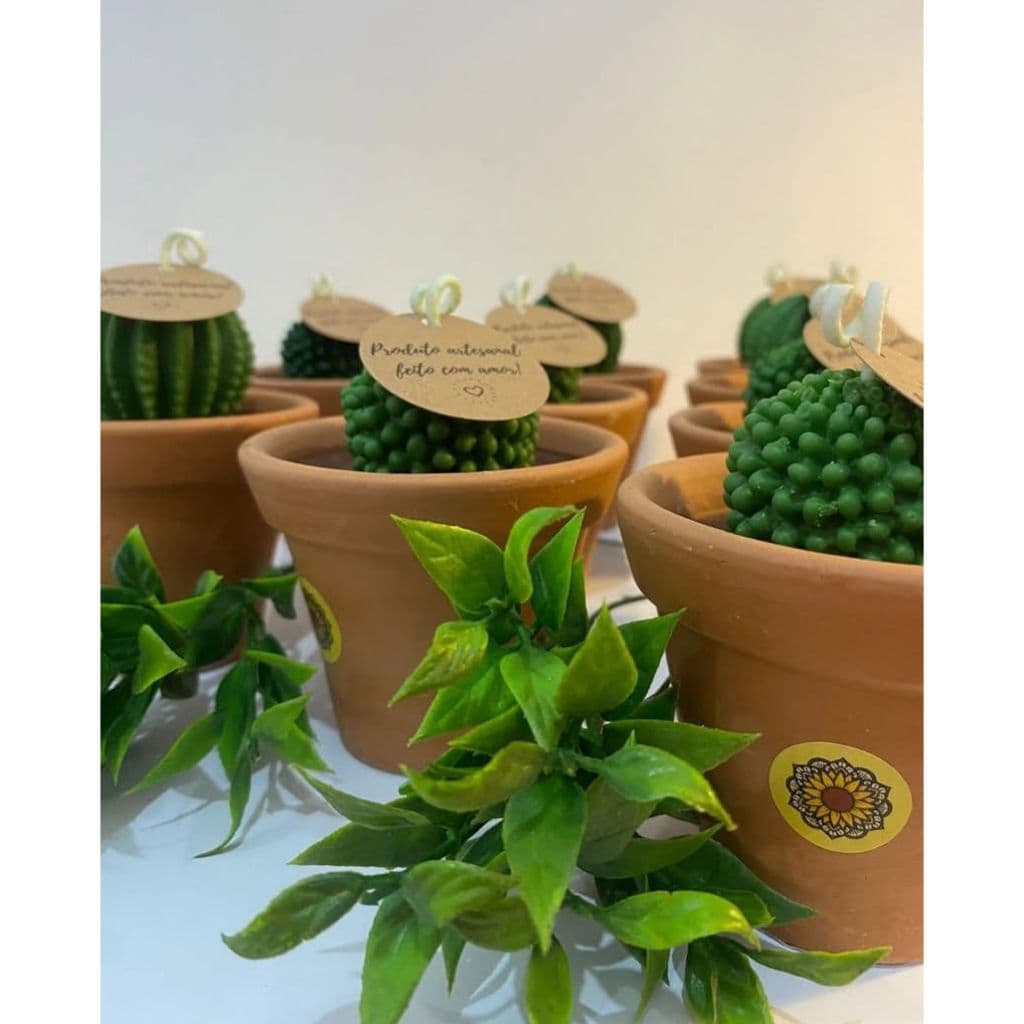 vela aromatica artesanal cacto vaso de barro aroma tangerina com canela