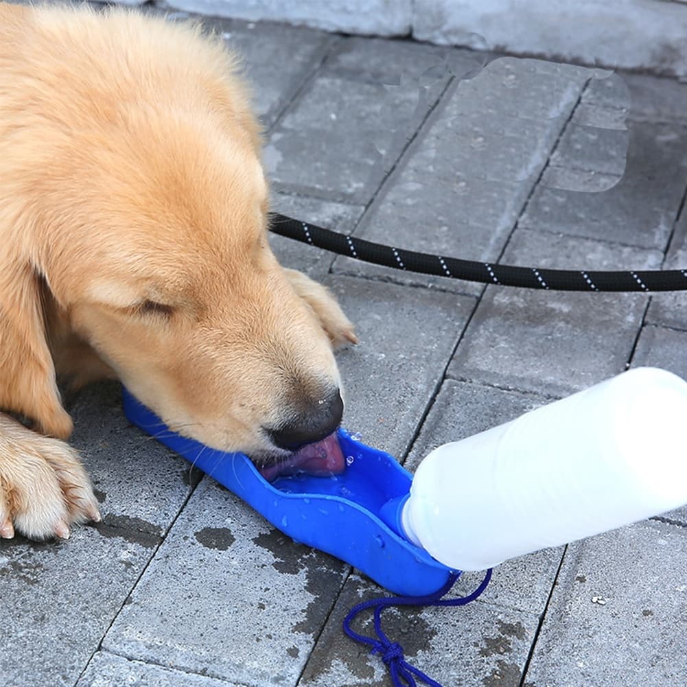 Bebedouro Garrafa Portátil Pet Garrafa de Água para Cachorro e Gato Passeio Viagem