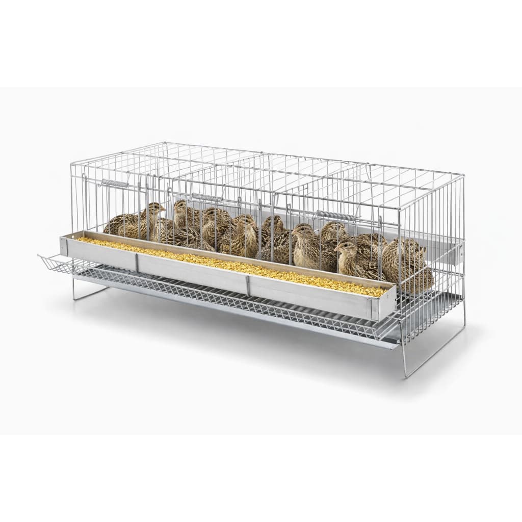 Gaiola Para Codorna Poedeira Zincada 3 Divisórias Contrera Pet Completa Criação Aves 48 cm