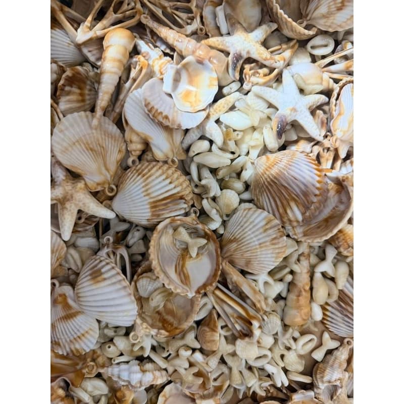 pingente fundo do mar / buzios/ conchas variados 200/ 100 ou 50 peças