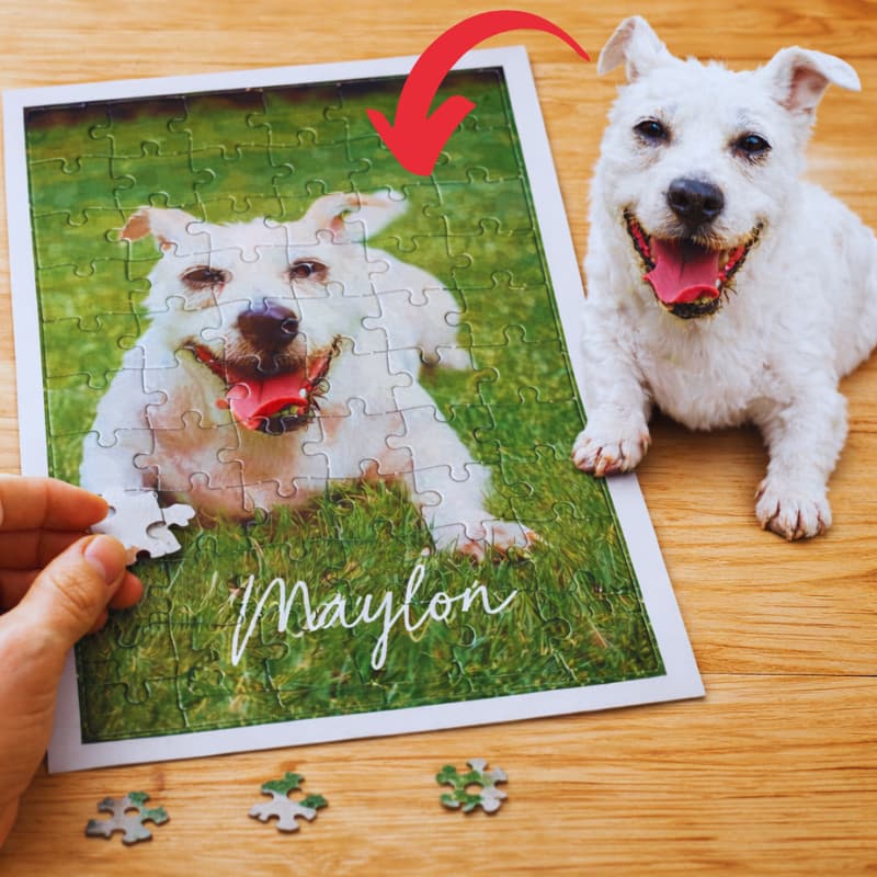 Quebra-Cabeça Personalizado Pet 60 Peças | Foto e Nome do Seu Animal | Presente Criativo para Amantes de Pets