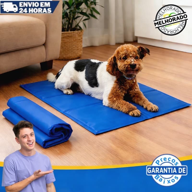 Tapete Gelado Refrescante Para Pet Cachorro Gato Grande 30*40/40*50/50*65  Durável