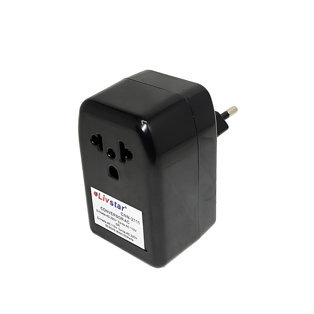 Transformador Conversor de Voltagem 100W Entrada Saída 220W