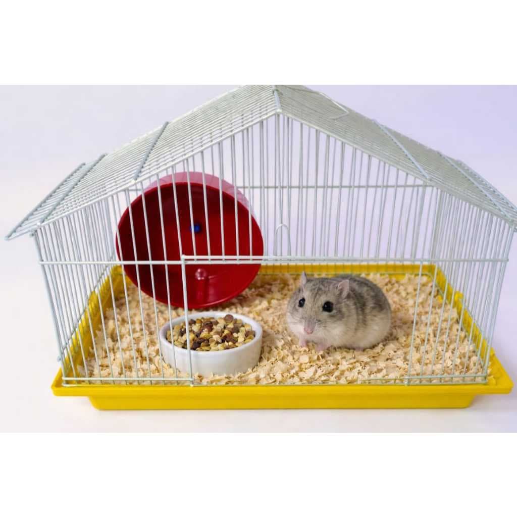 Gaiola Chalé Novo Modelo Hamster Anão Russo  Hamister Ramister Com Alça Transporte + Brinde Rodinha Brinquedo Promoção