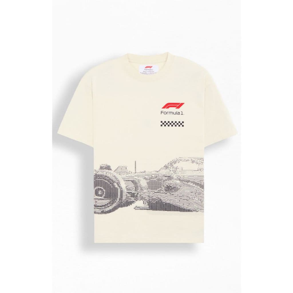 Camiseta Oversized Formula 1 Carro Time 100% Algodão Streetwear Unissex