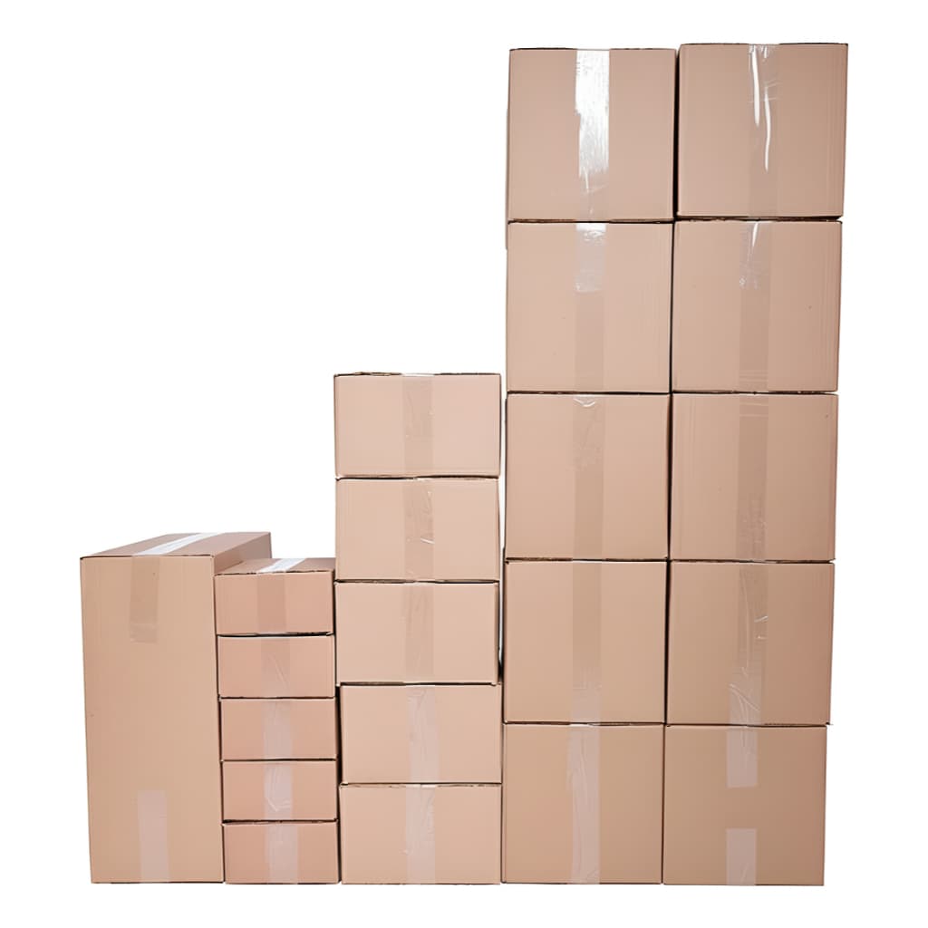 Kit Completo Para Mudança 24 Itens + Brindes De Organização Marrom-claro, caixas de papelão