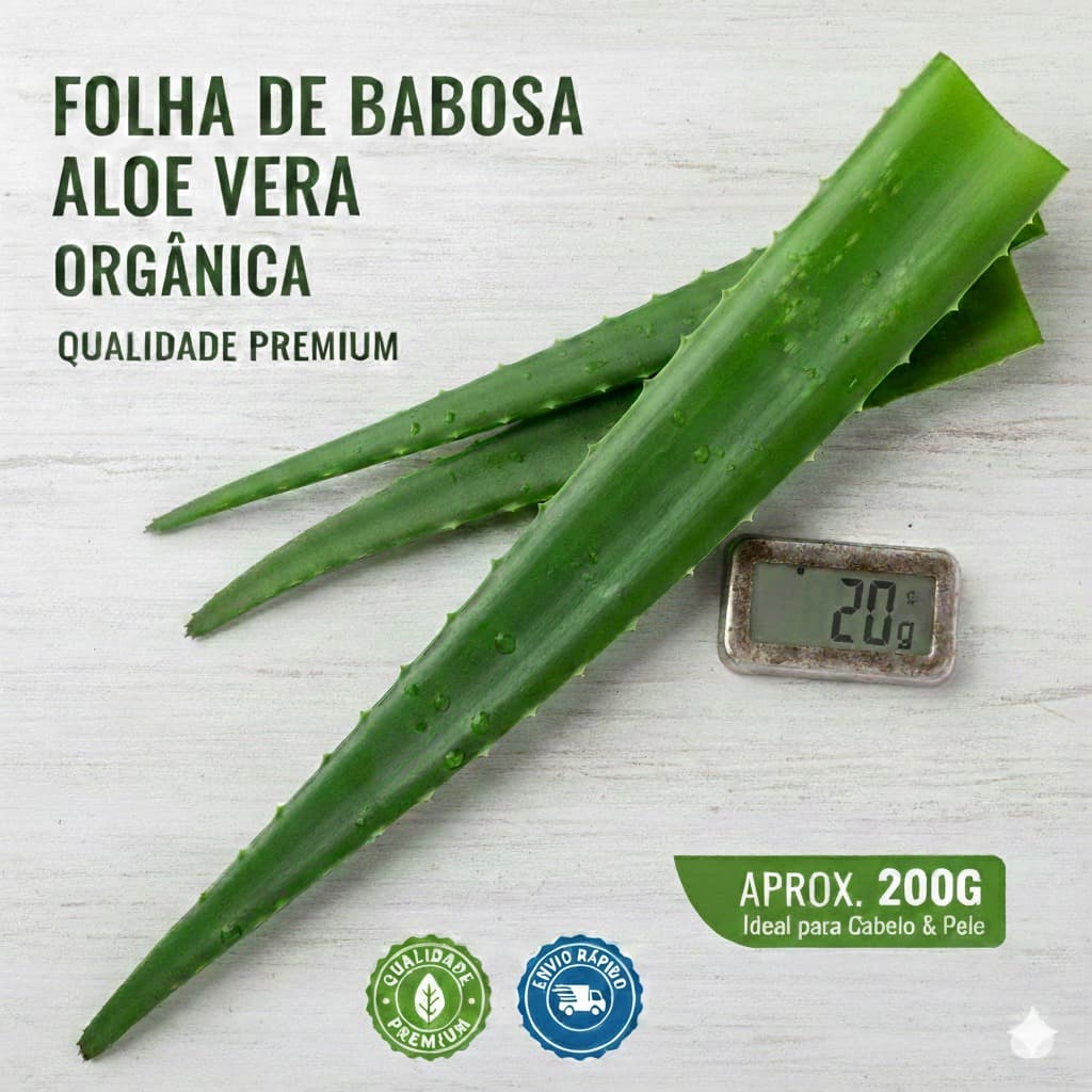 Folha de Babosa Aloe Vera Orgânica – Qualidade Premium (200g)