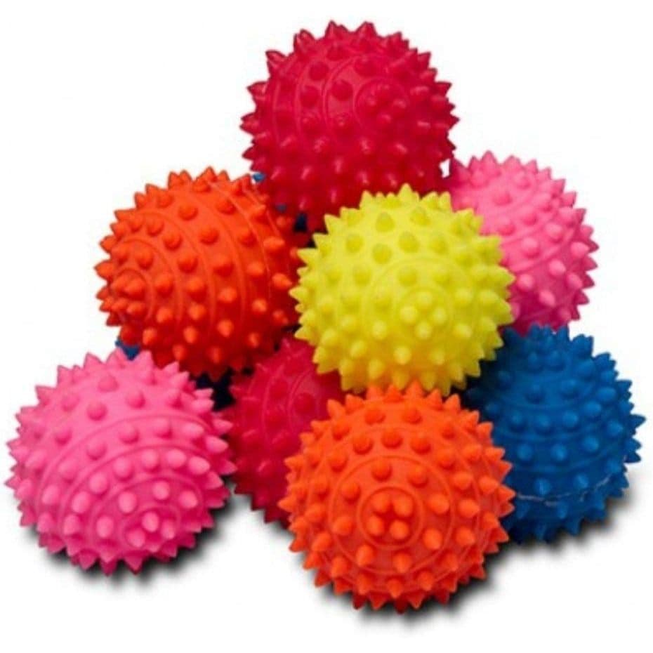 Bolinha Cravo  Anti-stress  Bolinha  Fisioterapia Bolinha Pet Pacote C/12 Bolinha