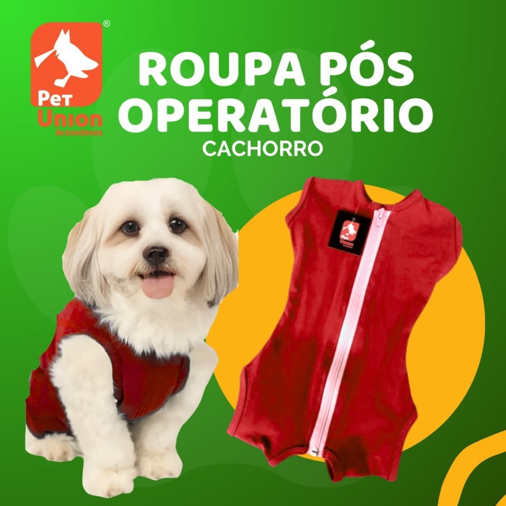 Roupa Pós Cirurgica Para Caes Machos e Fêmeas
