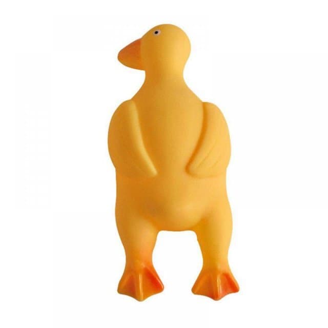 Brinquedo Mordedor Pato com Som para Pet | Cachorro | Pet