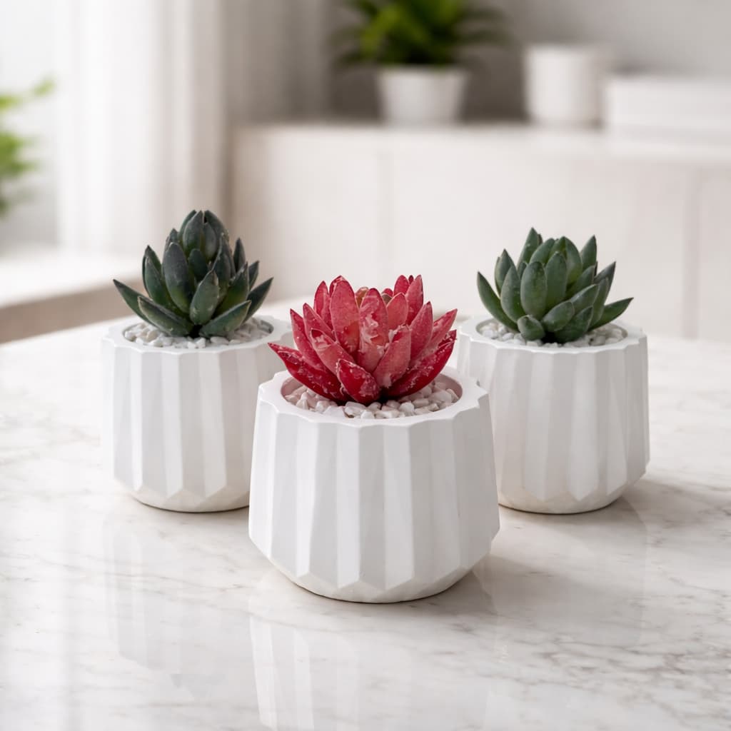 Arranjo Suculenta Vaso Gesso Decorativo Para Sala e Escritório Decoração, Lembrancinha Casamento e Aniversário