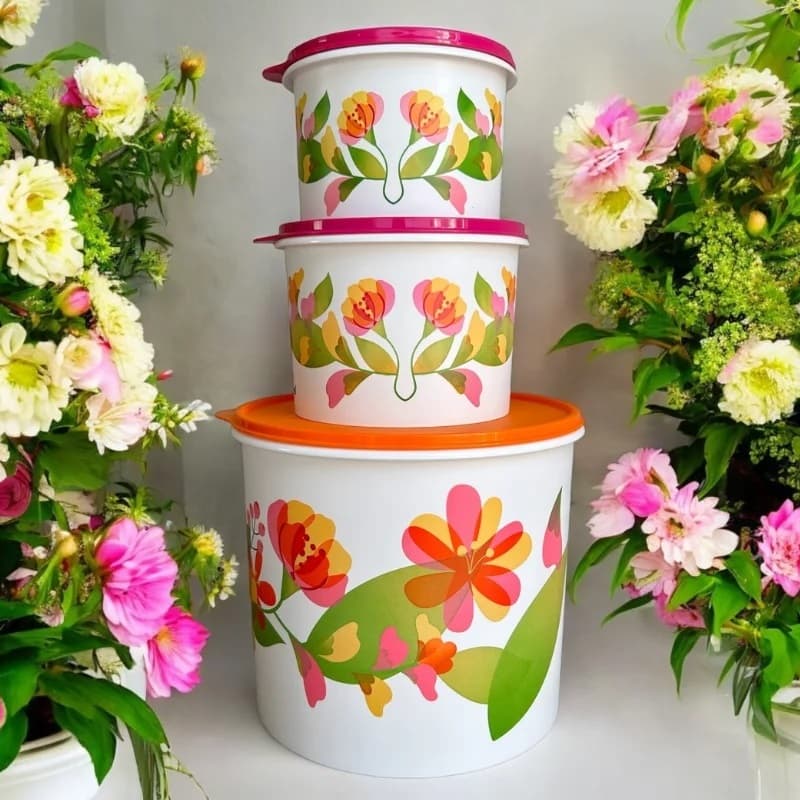 Porta Mantimentos Tupperware FLORESCÊNCIA