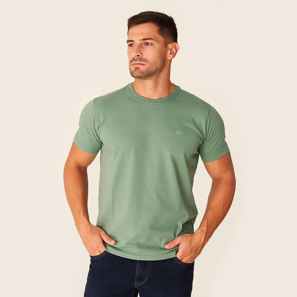 Camiseta Masculina Gola O Básica Sallo Premium