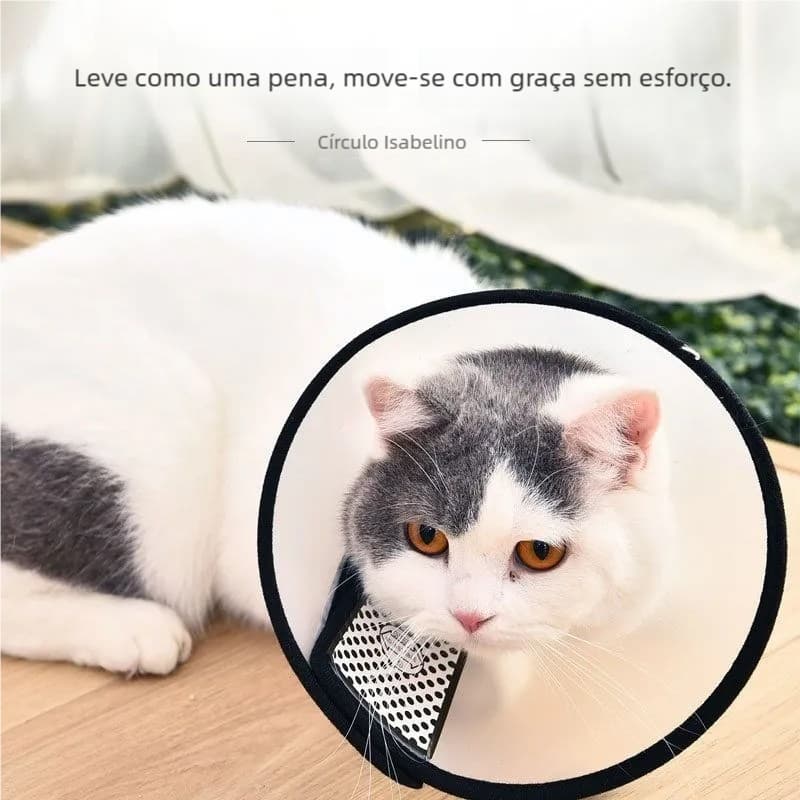 Colar Elizabetano Para Cães Premium – Cirúrgico N1 ao N7