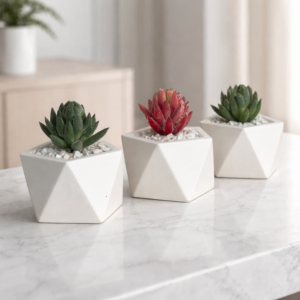 Arranjo Suculenta Vaso Gesso Decorativo Para Sala e Escritório Decoração, Lembrancinha Casamento e Aniversário