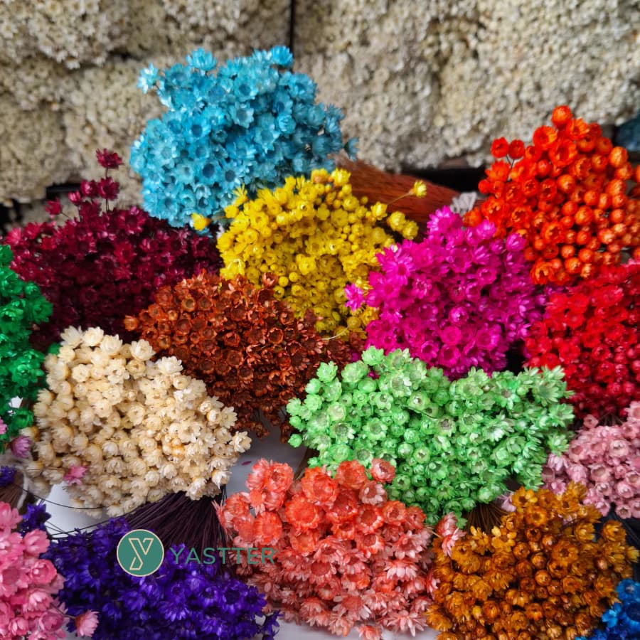 Flor Sempre Viva 1,2 ou 4 Buquê Flores Desidratada e seca | Decoração Arranjo e Artesanato