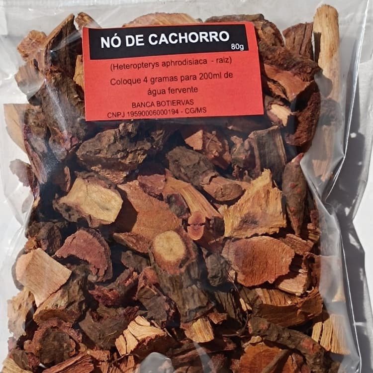 NÓ DE CACHORRO RAIZ