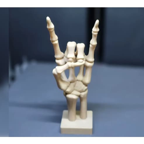 Estatueta Mão de Caveira Rock/Decoração criativa em 3D/Estatueta Mão de CaveiraMão de Caveira Rock Decorativa/Mão de Cav