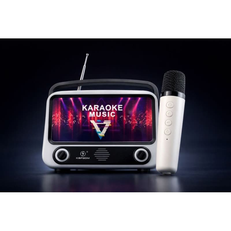 Caixa De Som Bluetooth Karaokê Com Suporte de TV E Microfone Sem Fio Rádio KA-TV300s