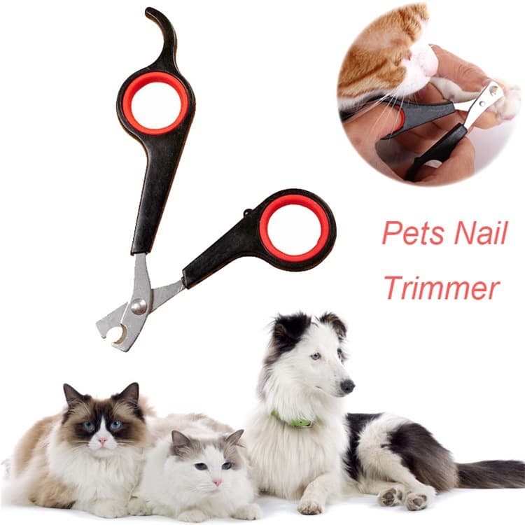 Tesoura De Unhas Inox Para Cachorros / Gatos/ Coelho/Pets 12,5x6cmtesoura Cortador De Unha Promoção