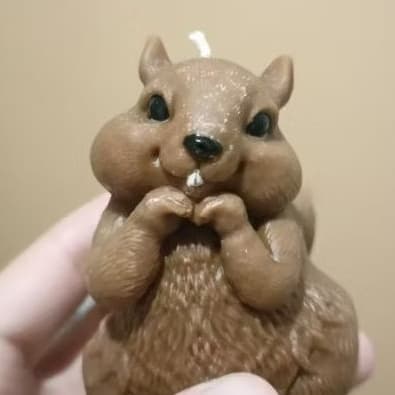Vela Aromática Esquilo 🐿️/ Vela artesanal/ temática/ animal/ vegetal/ vela perfumada