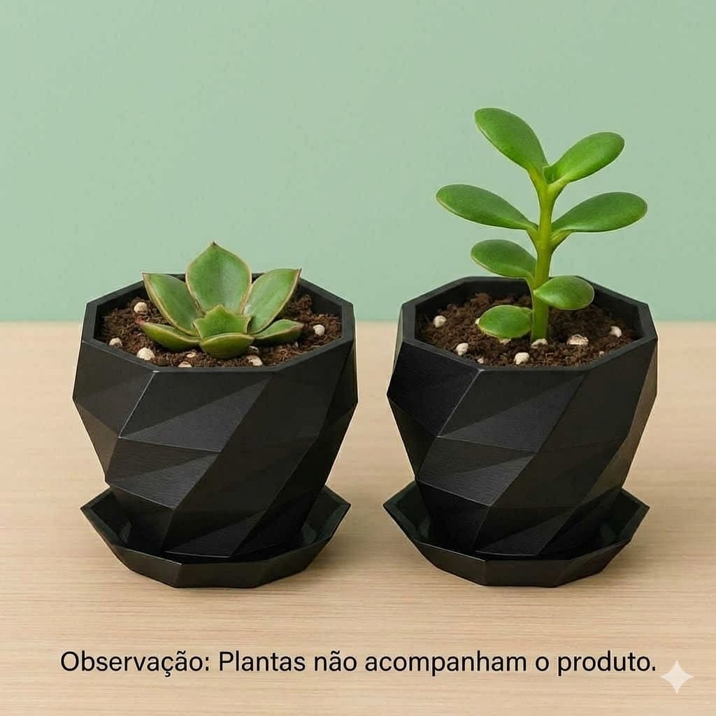Vaso de Decoração Plantas Suculenta Ambientes Decorativo Jardim Sala Luxo