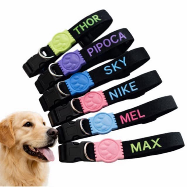 Coleira para Cachorro nome Personalizado ou telefone bordado para passeio linda com identificaçao