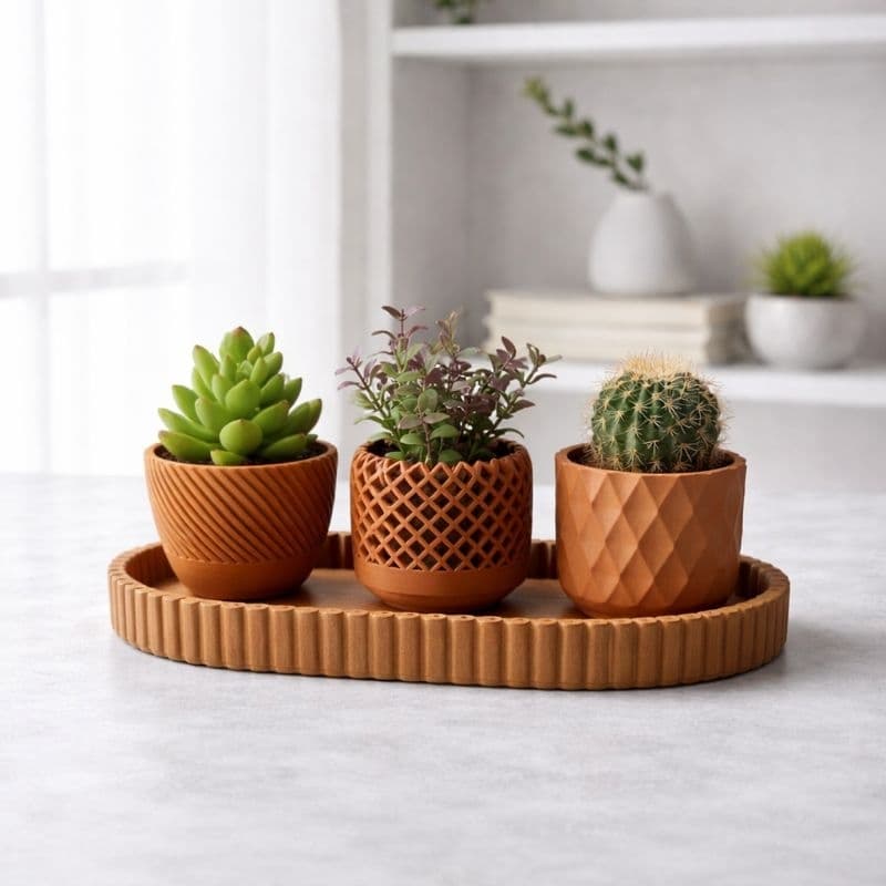 Kit  3 Vasos Decorativos Modernos para Suculentas e Plantas - Cachepot Design Minimalista.