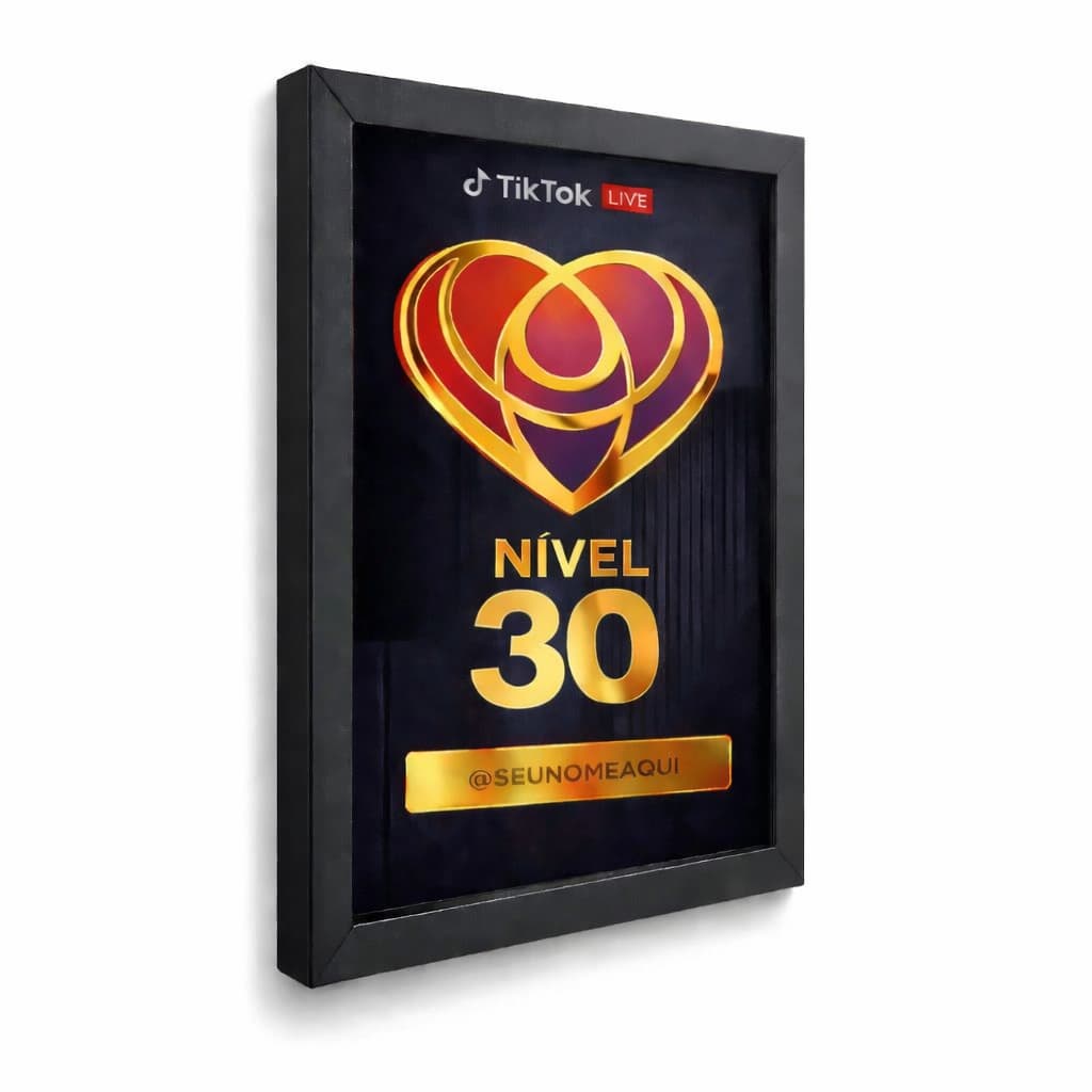 Quadro Placa Live Nível 30 personalizada com nome Moldurado A4 20x30 cm Vidro