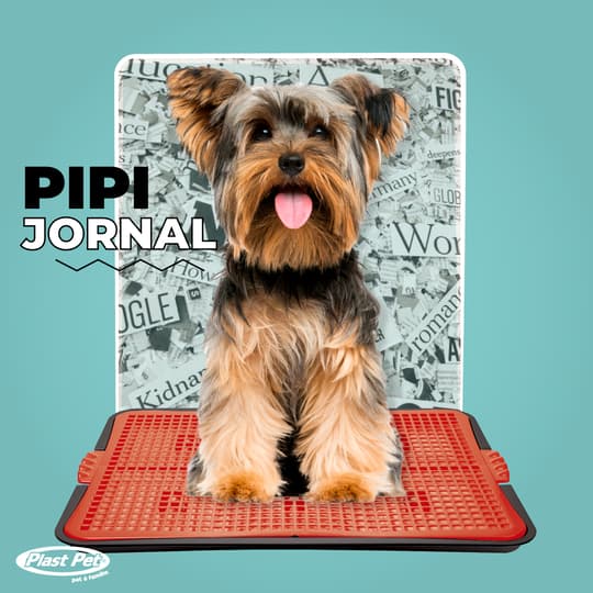 SANITARIO PARA CÃES PIPI JORNAL - ECO