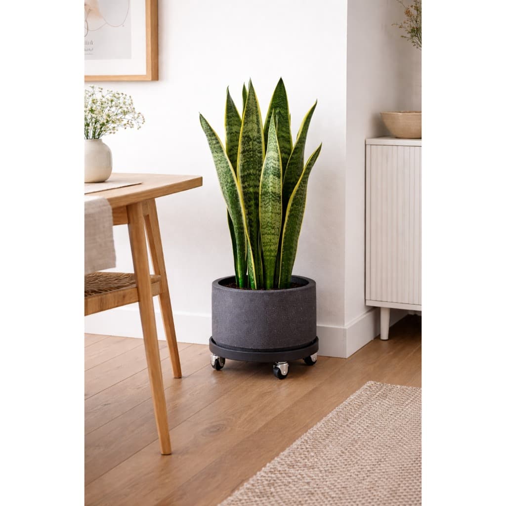 Kit 1 Suporte 22cm Com Rodinhas Em PP +1 Vaso de plantas Preto