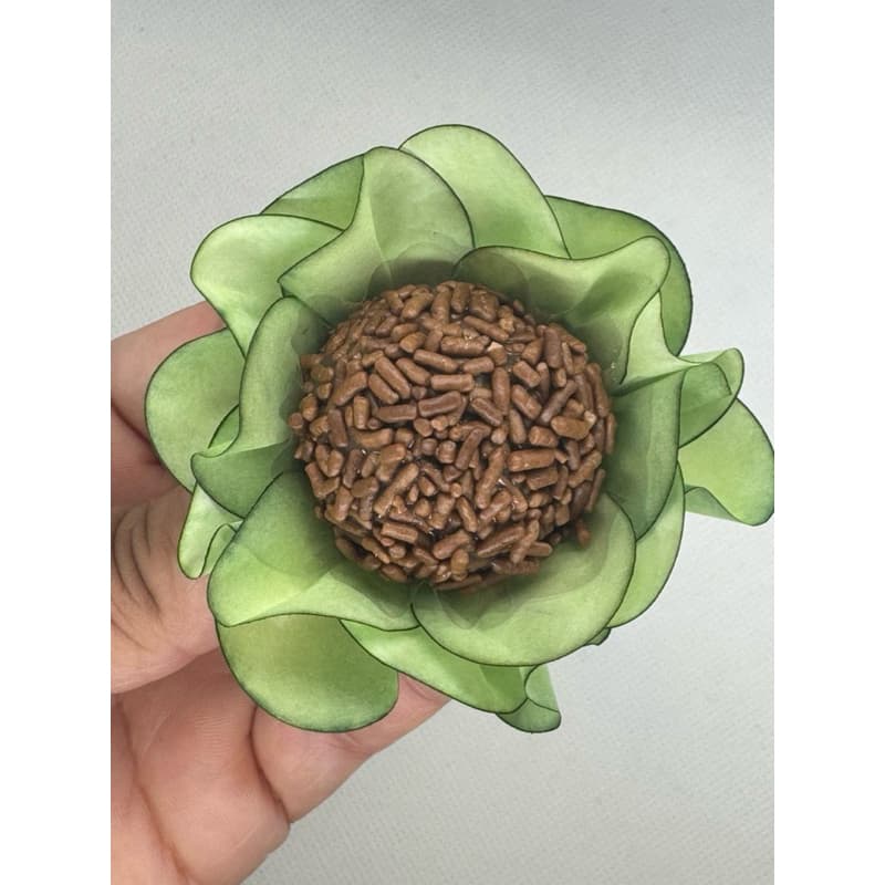 Forminhas para doces