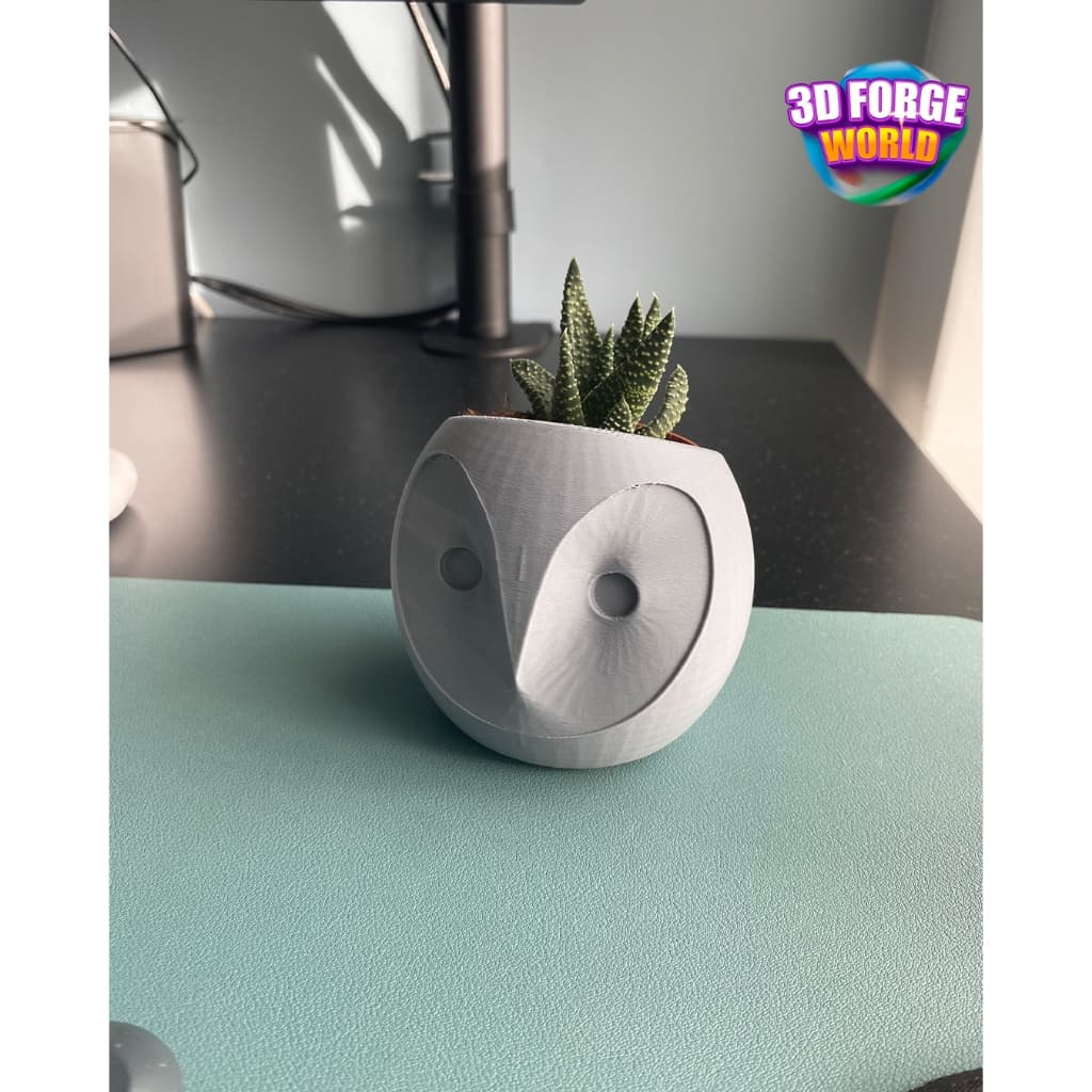 Vasinho de Suculenta Coruja – Decoração Fofa e Cheia de Personalidade