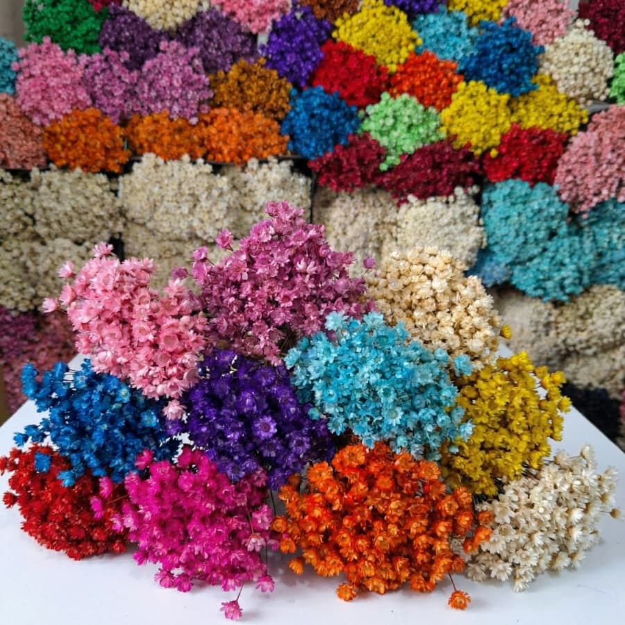 Flor Sempre Viva Premium 200/400/800 | Flores Secas e Desidratadas para Decoração e Arranjos, Buquê