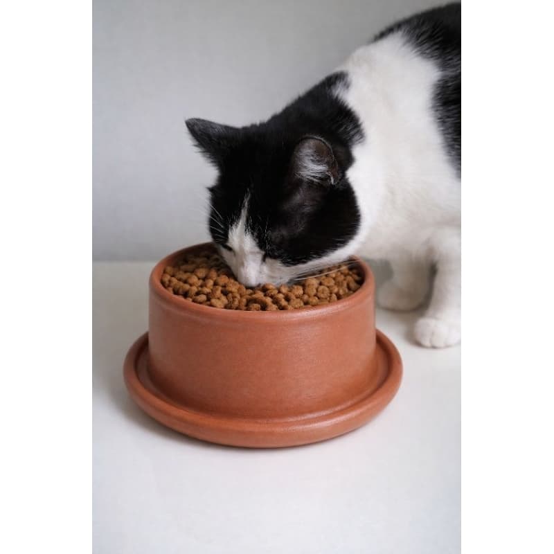 COMEDOURO CERÂMICO PARA GATO ANTI-FORMIGA