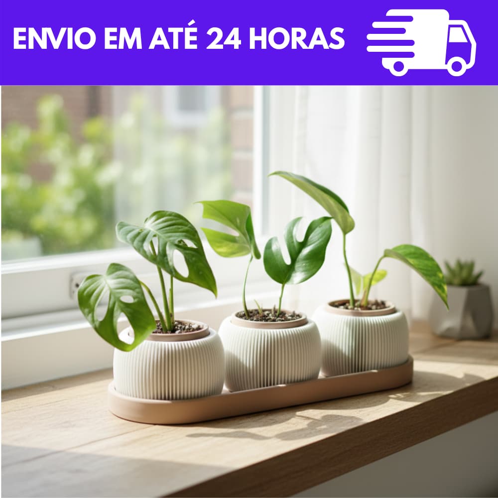 Vaso para Suculentas Minimalista com Bandeja Coletora – Decorativo Moderno