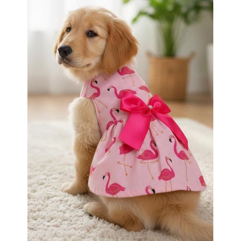 Vestido para cães e gatos.