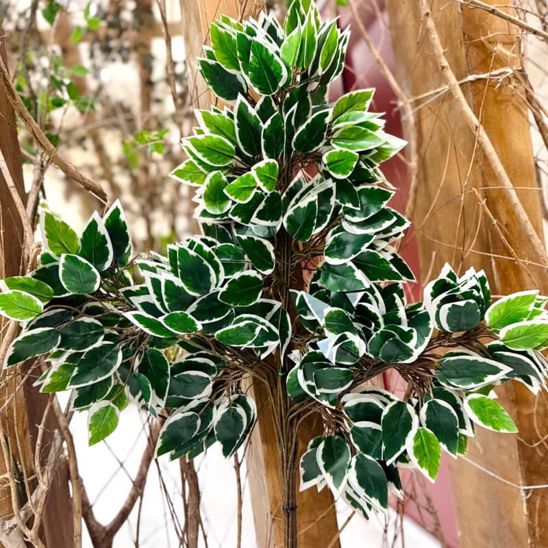 KIT 12 Unidades Folhagem de FICUS de silicone - BH802259- VERDE COM BRANCO