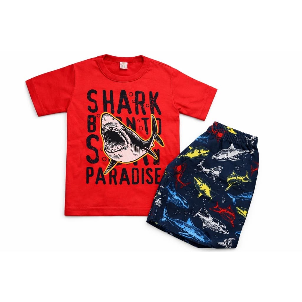 Conjunto Infantil Masculino Verão Preço Acessível Conjunto Verão Menino Infantil Blusa + Shorts