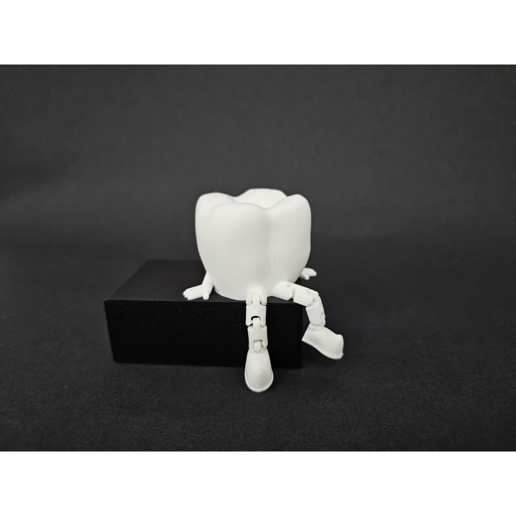 Dente Articulado Decorativo 3D Presente Criativo para Dentista 6cm