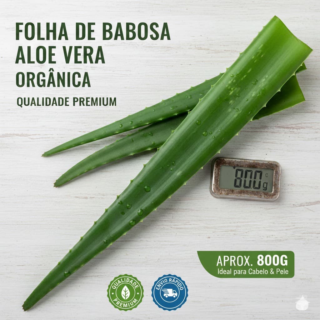 🌿 Folha de Babosa Aloe Vera Orgânica – Qualidade Premium (800g)