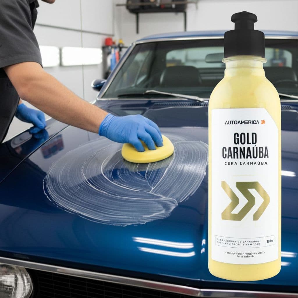 Cera Líquida Carnaúba Proteção Automotiva Brilho Intenso 300 ml