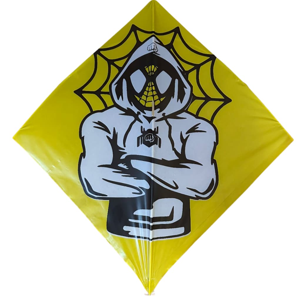 Pipa papagaio flechinha 33x33 80, 90 e 100  Unidades sortidas