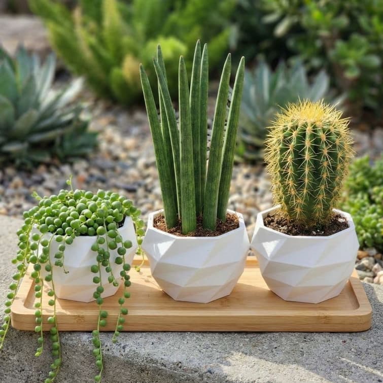 Kit 3 Vasos Geométricos Decorativos Modernos Design Premium Jardim Casa Decoração